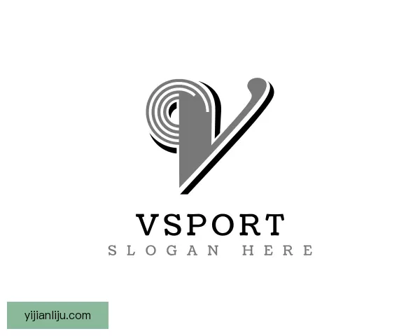 认识Vsport